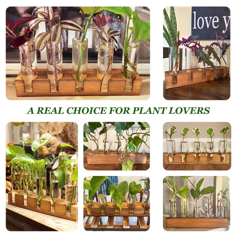 Renmxj Plant Propagation Station  Plant Terrarium with Wooden Stand  Plant Pots for Hydroponics  Small Birthday Gardening Gifts for Women Mom Plant Lovers Unique - 5 Glass Test Tubes Vases - Image 5